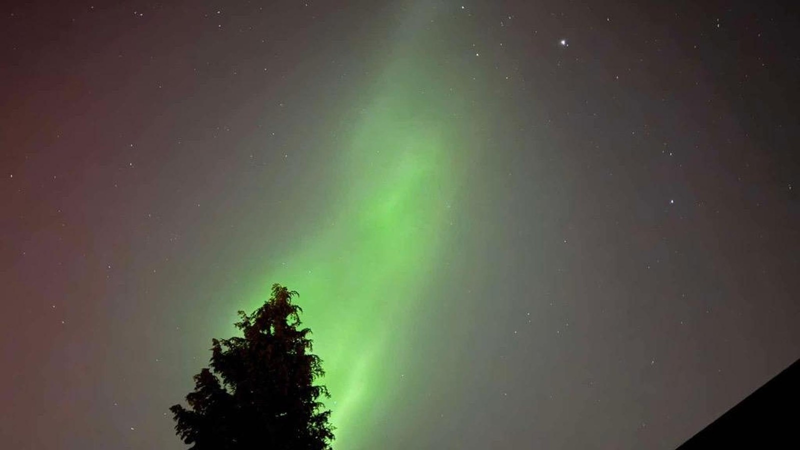 Gr-ner-Himmel-ber-Haarzopf-Aufregende-Fotos-aus-Essen-von-Polarlichtern