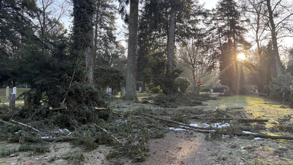 Unter der Schneelast gebrochen: Bergedorfer Friedhof verliert 120 Bäume