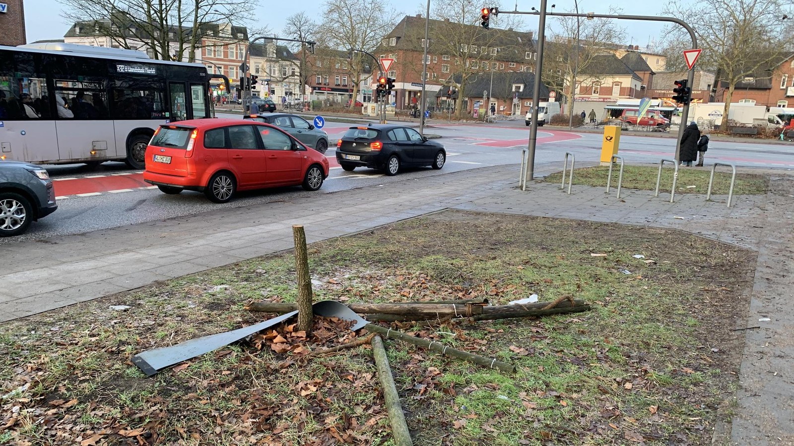 Trauriges-Bild-Alleeb-ume-in-Lohbr-gge-auf-Knieh-he-abges-gt