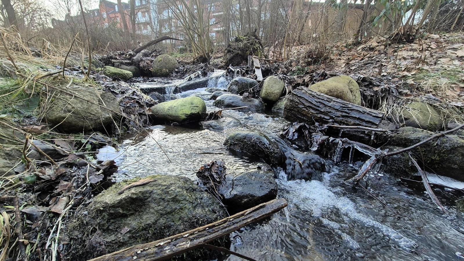 Schulenbrooksbek-in-Bergedorf-Bei-Starkregen-droht-berschwemmung