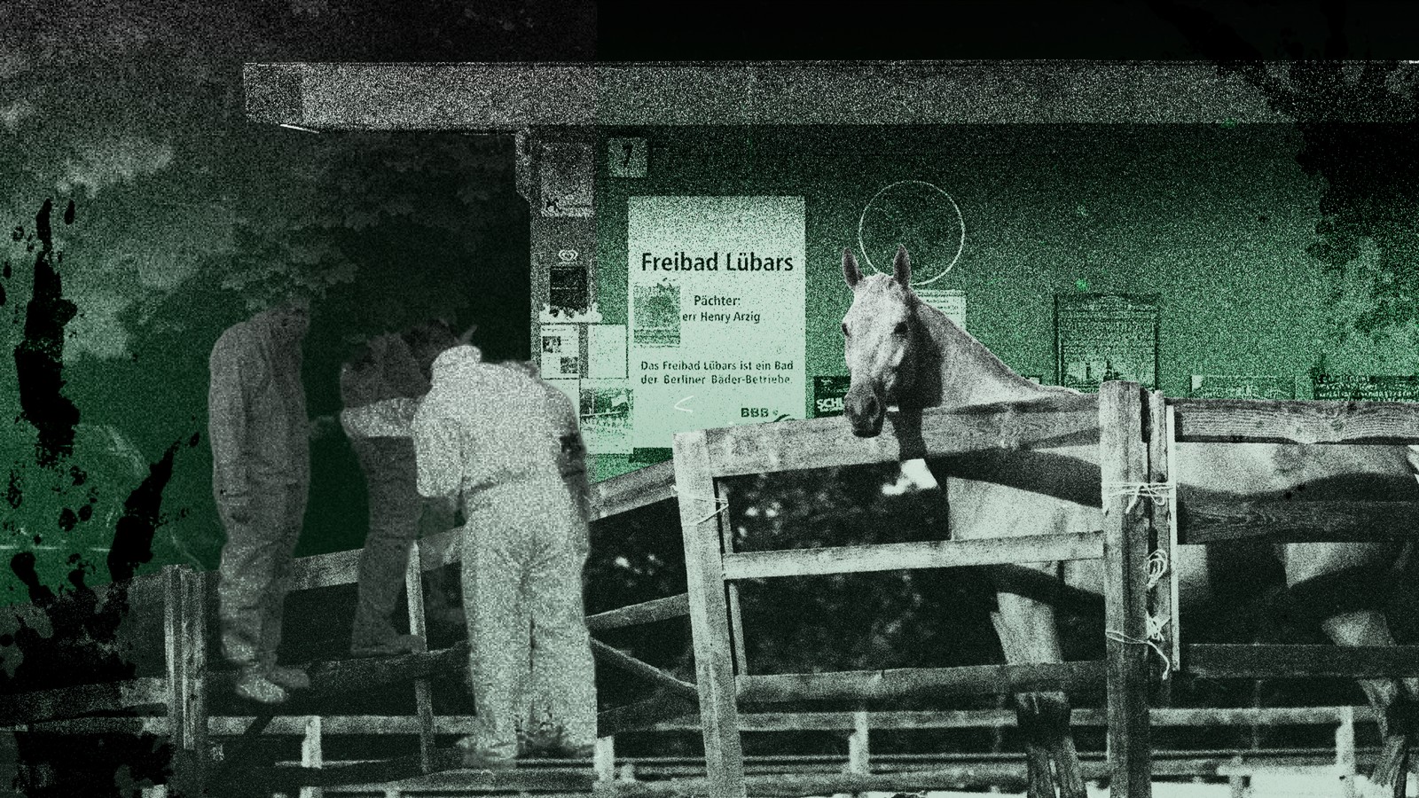 -Kein-Fehlschlag-bitte-Ein-grausamer-Mord-unter-Pferde-Freunden