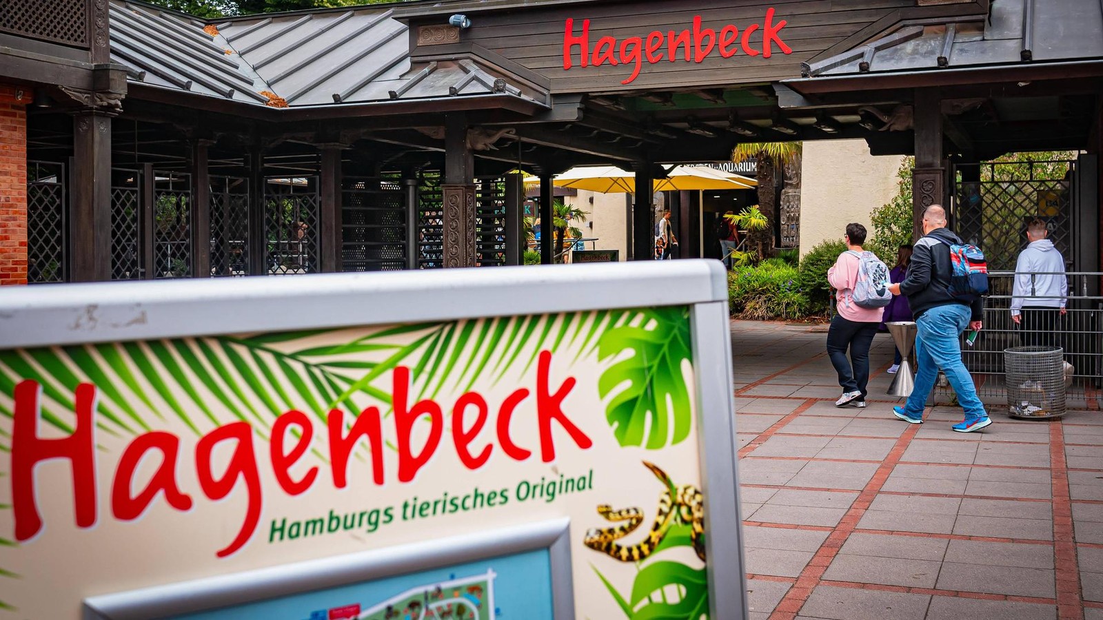 Zootier-des-Jahres-2026-gew-hlt-auch-in-Hagenbeck-gibt-es-zwei-Prachtexemplare