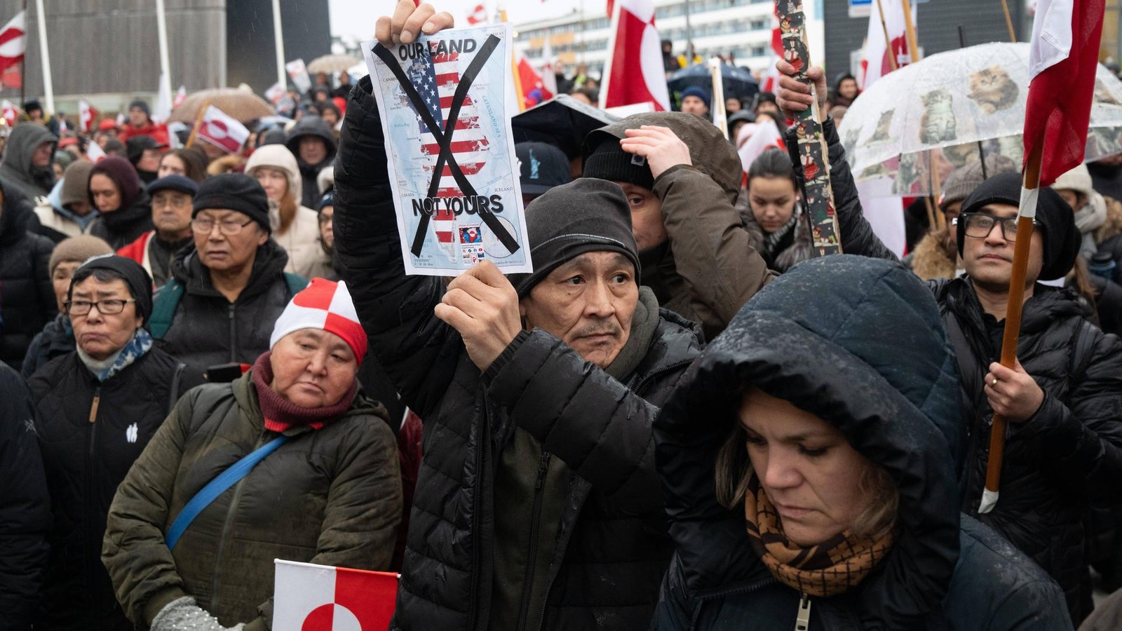 Robbenhaut-und-Stinkefisch-So-bereitet-sich-Gr-nland-auf-den-Ernstfall-vor