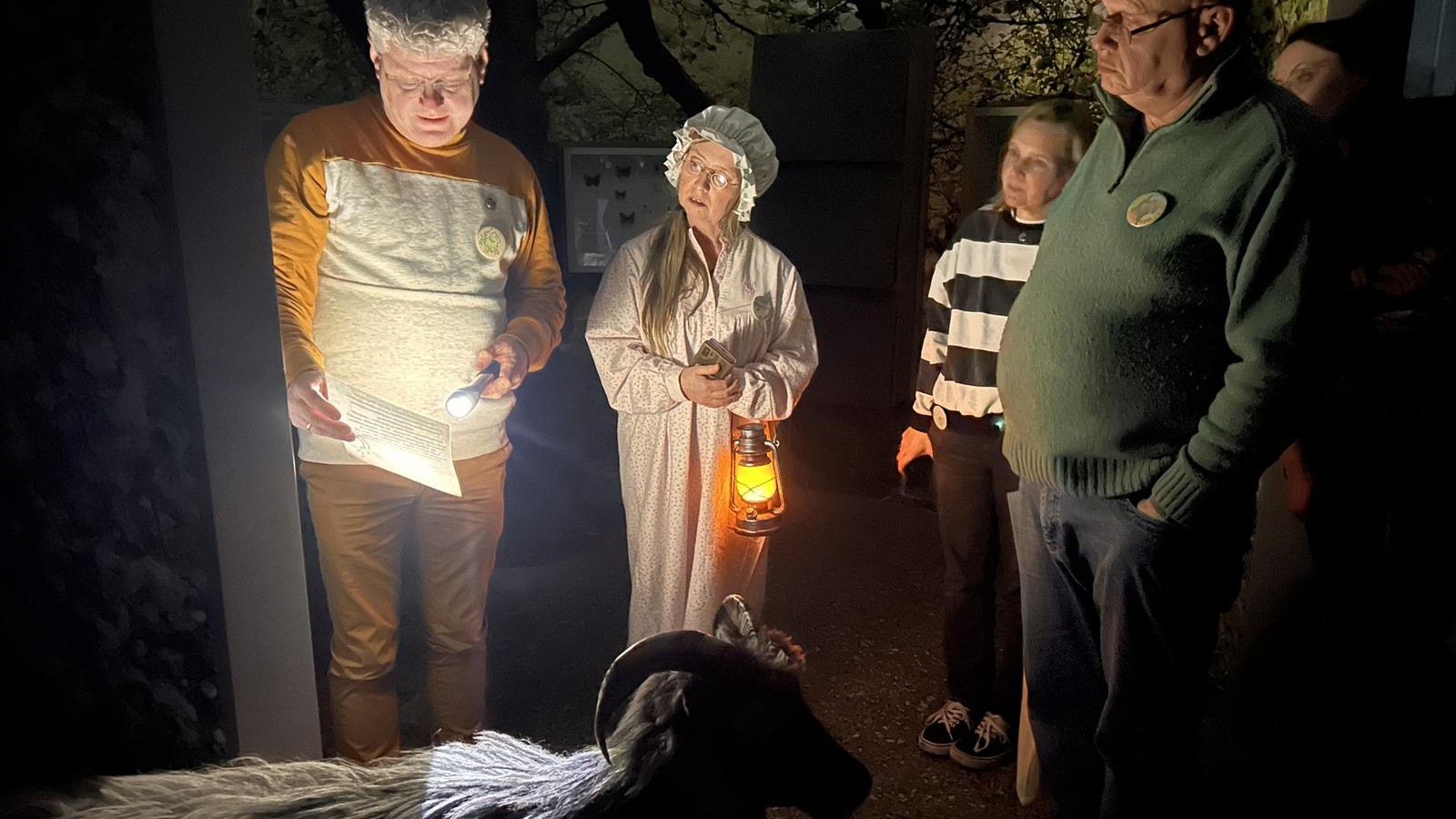 Nachts-im-Museum-Im-Dortmunder-Naturmuseum-bernachten-wie-im-Film