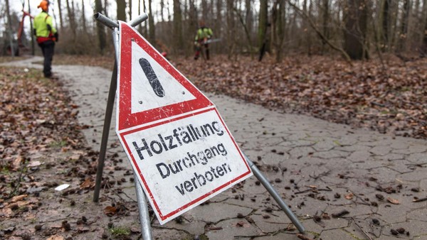 Hier droht Gefahr: In diesem Wald in Salzgitter werden Bäume gefällt