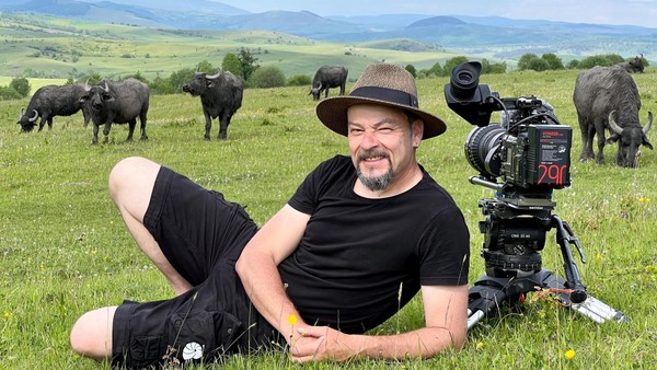 Freilaufende Kühe im Harz? Bekannter Regisseur mit originellem Vorschlag