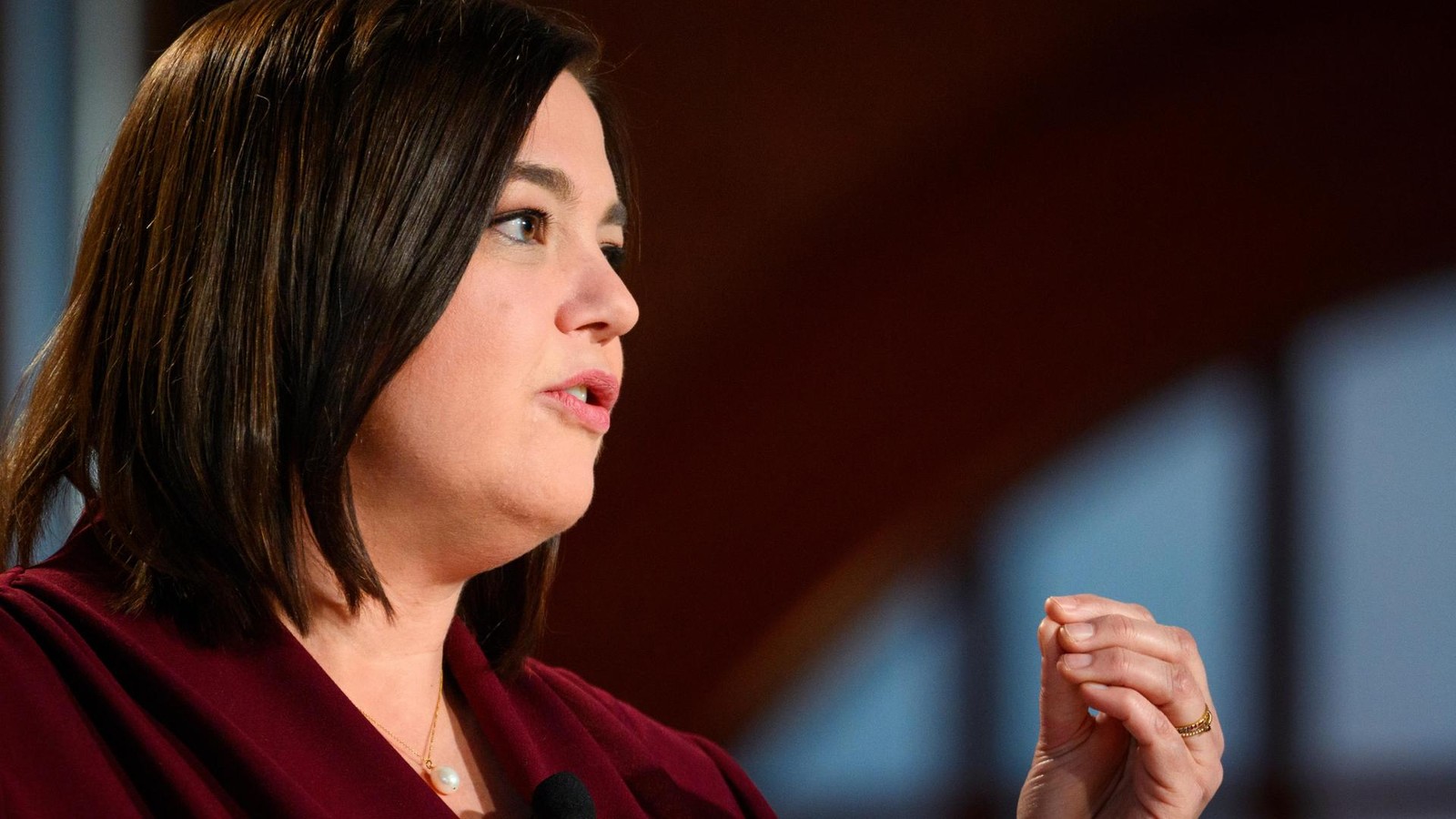 Gr-ne-Landespolitiker-gehen-auf-Distanz-zu-Parteifreunden-im-EU-Parlament