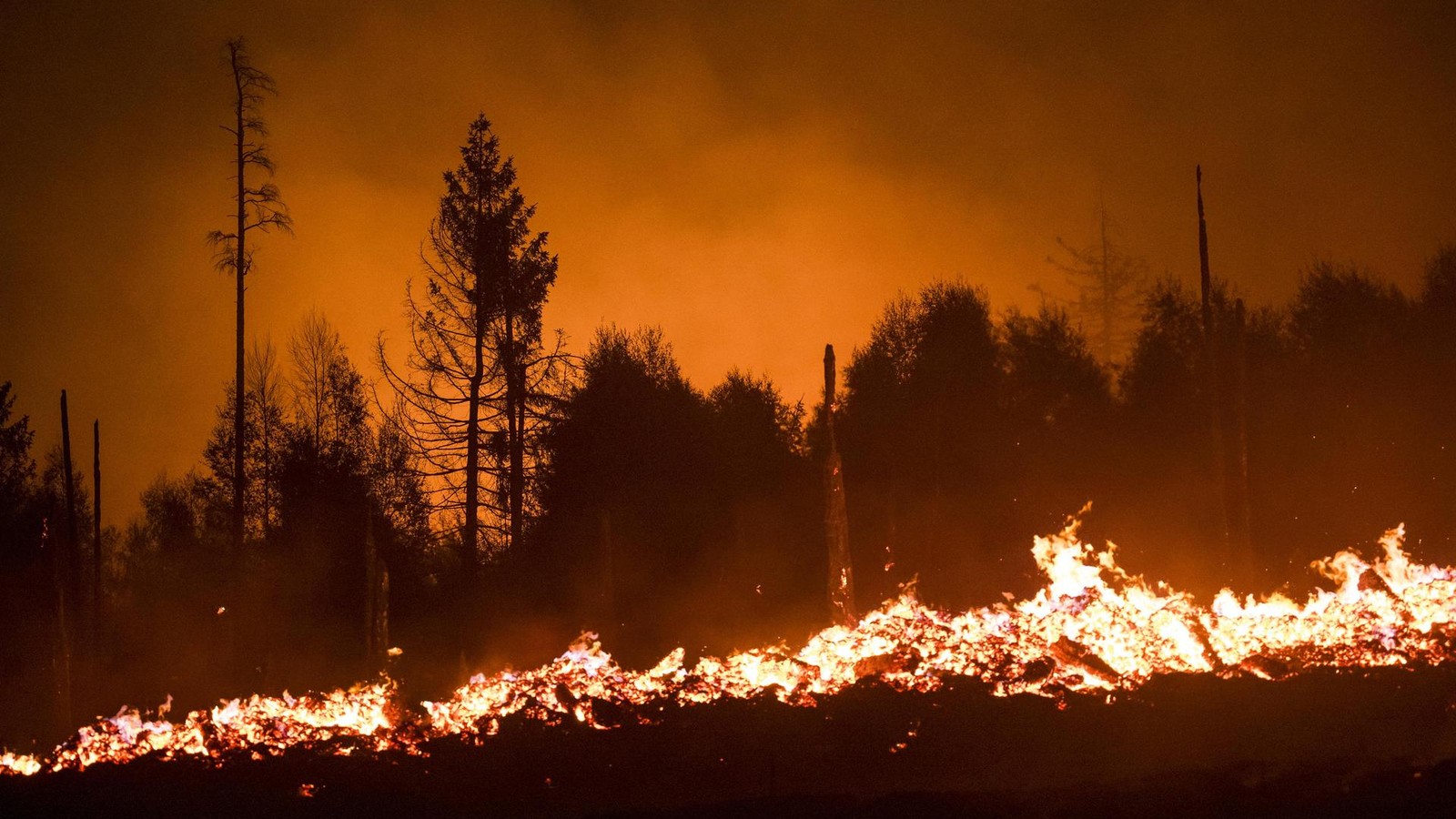 Feuerwehr-Apolda-Rekordverd-chtige-Einsatzbilanz-bei-sinkenden-Mitgliederzahlen
