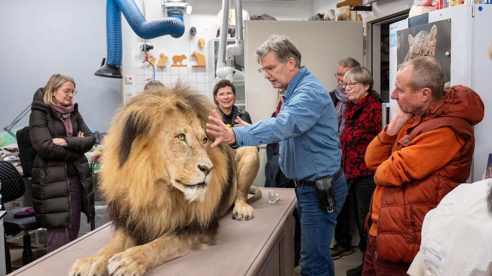 Gothaer-Spezialist-schenkt-L-wen-Bono-ein-zweites-Leben