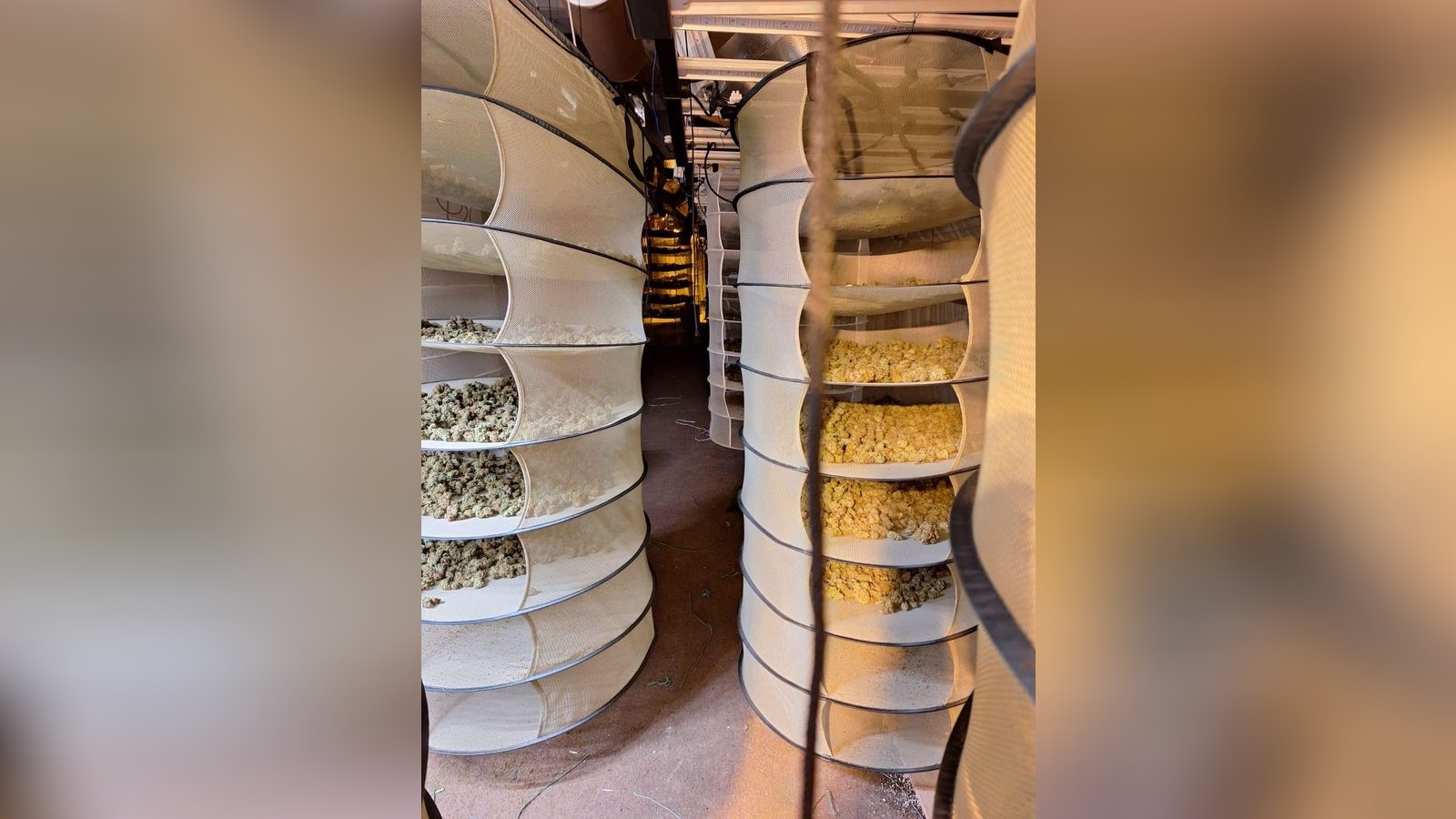 Gro-einsatz-im-Eichsfeld-Polizei-gelingt-Schlag-gegen-die-Drogenkriminalit-t