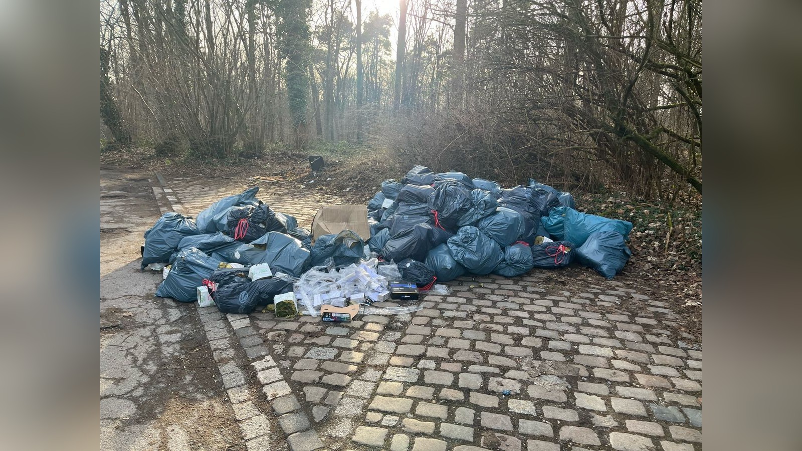 Vermutlich-illegale-Plantage-Polizei-stellt-entsorgte-Cannabis-Reste-sicher