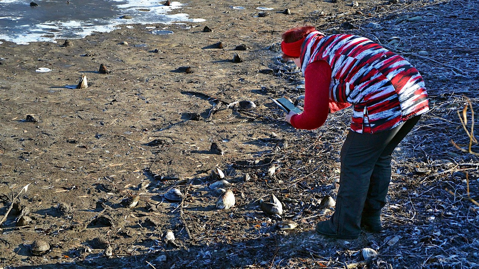 Weimar-am-Sonnabend-die-Nachrichten-des-Tages