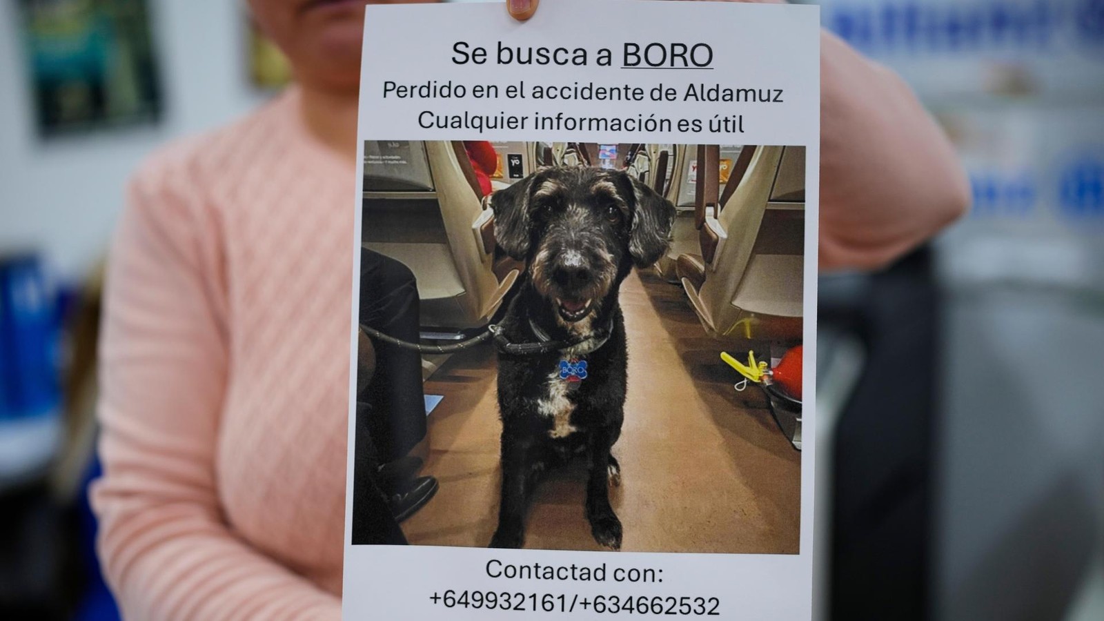 -berraschung-nach-Zugungl-ck-in-Spanien-Vermisster-Hund-Boro-lebend-gefunden