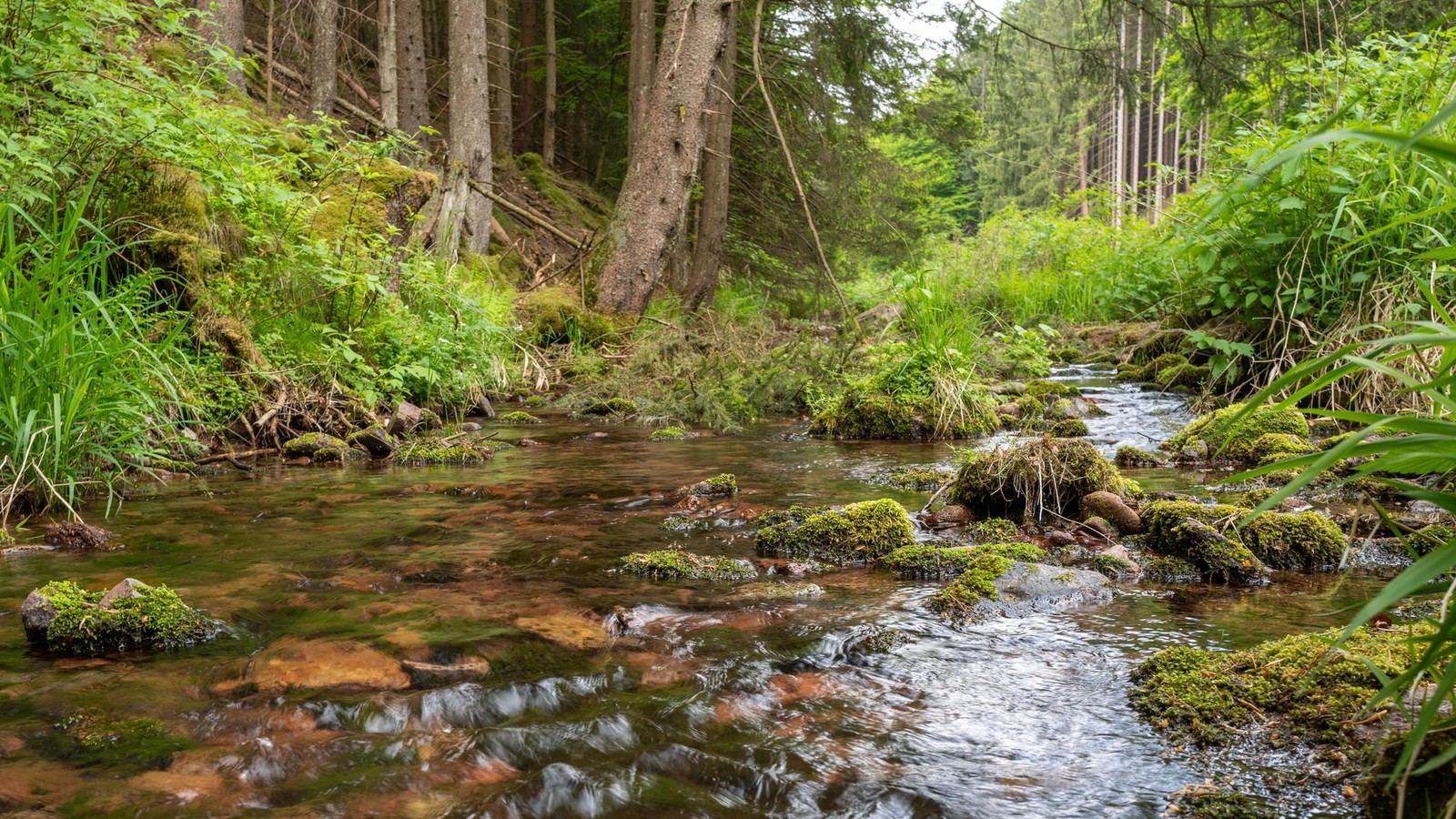 Th-ringer-Tourismus-in-der-Warteschleife