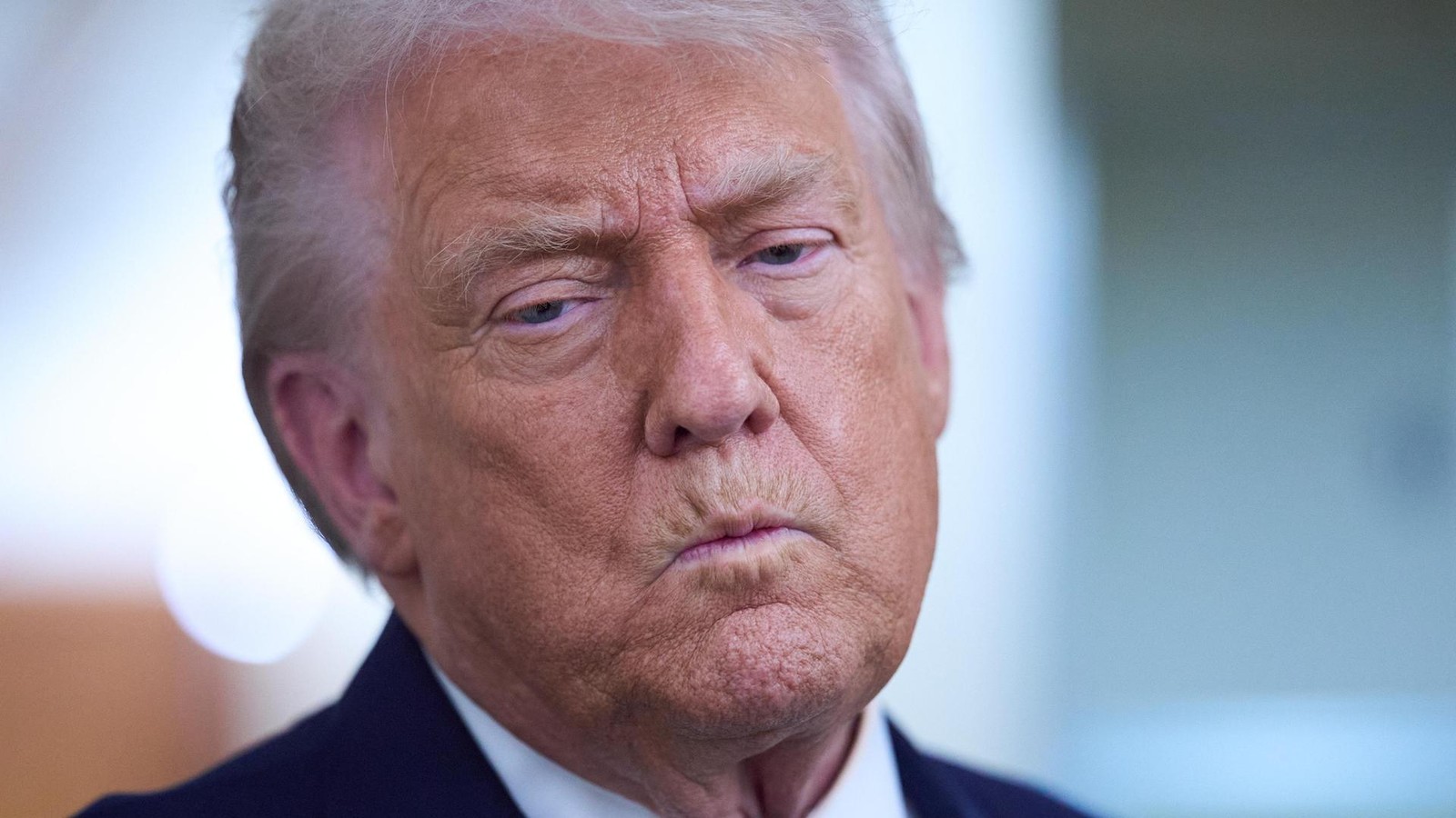 Pinguine-auf-Gr-nland-Wei-es-Haus-sorgt-mit-KI-Bild-f-r-Spott