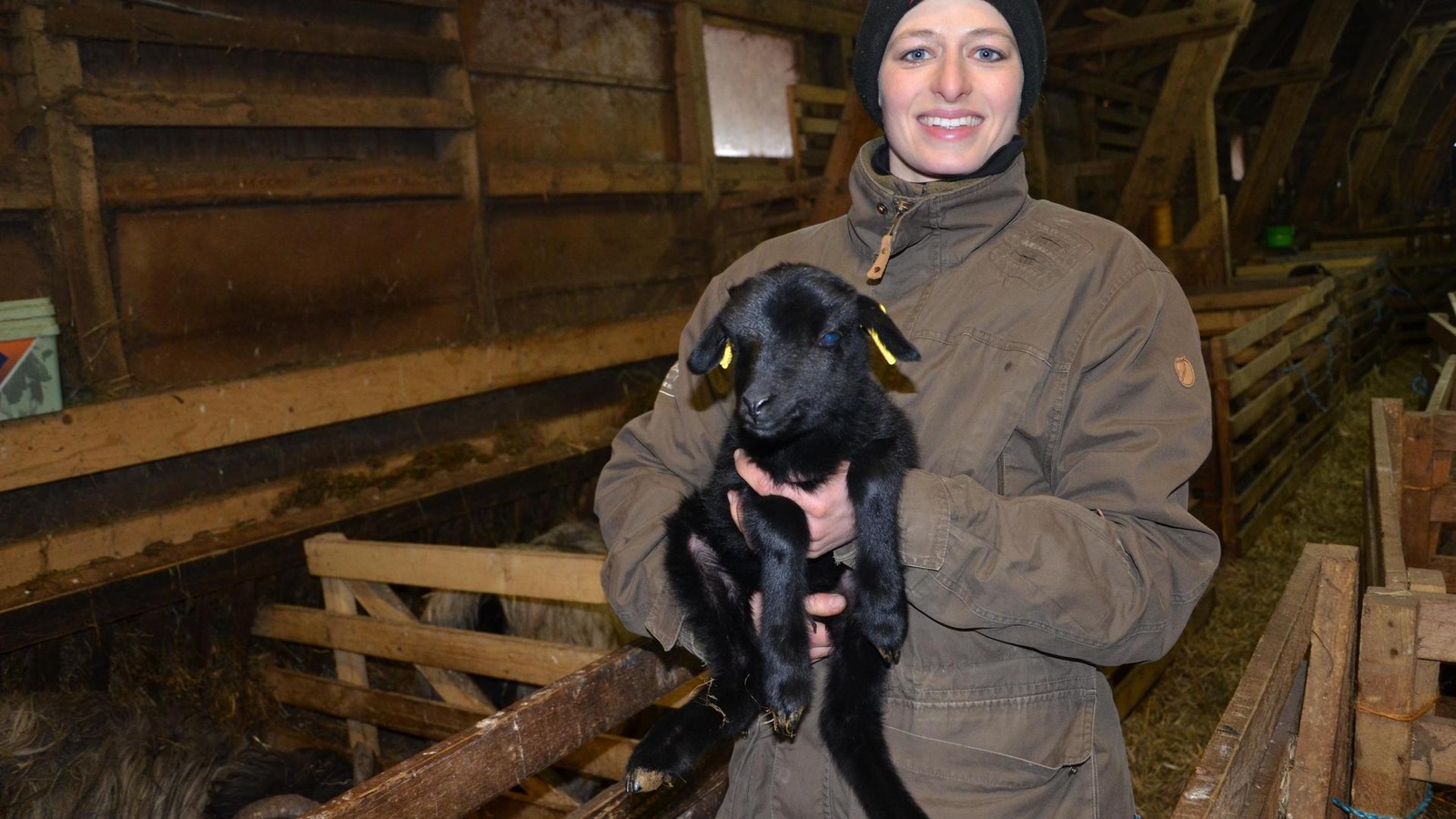 So-niedlich-so-n-tzlich-Es-ist-L-mmerzeit-in-der-L-neburger-Heide