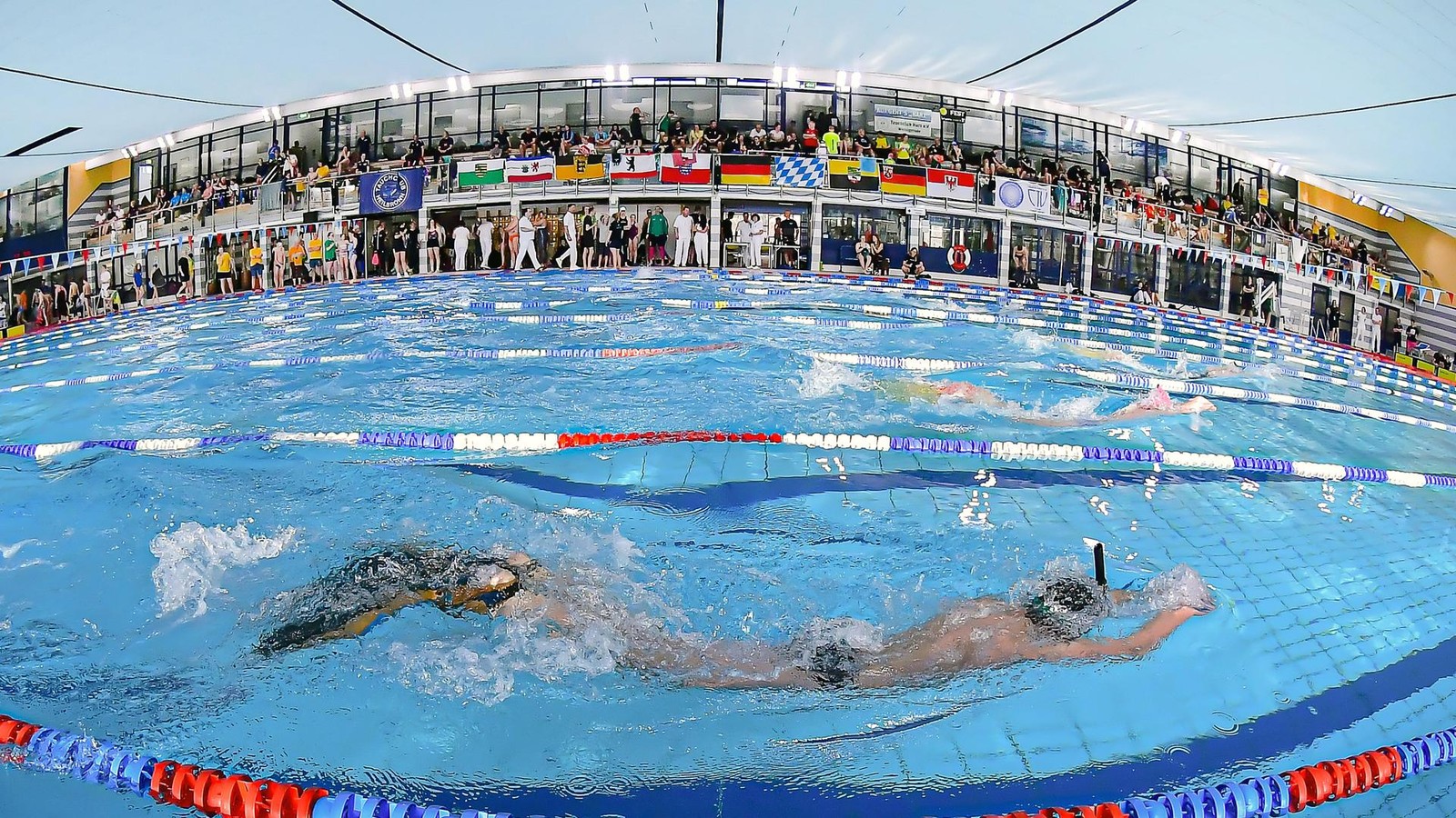 Peitschende-Flossen-in-Erfurt-Die-Finswimming-Titelk-mpfe-in-Bildern