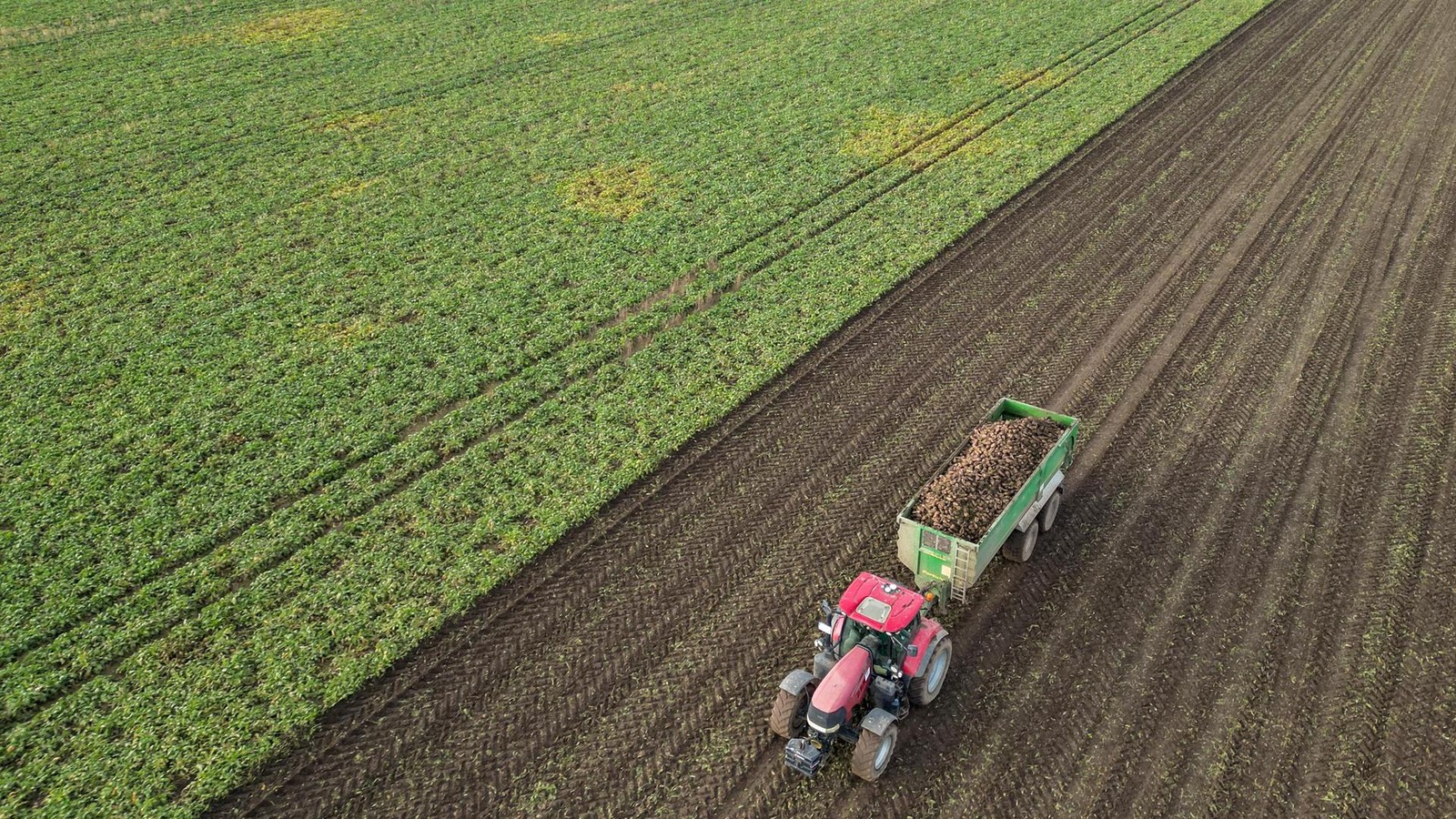 Acker-in-branchenfremde-H-nde-Investoren-kaufen-sich-ein-Th-ringen-verzichtet-auf-Regelungen