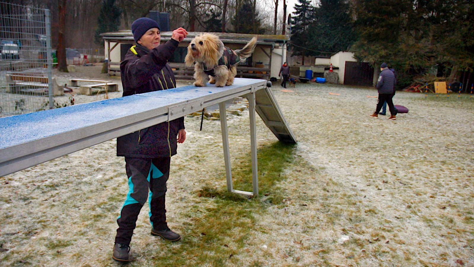 Weimarer-Hundesportler-hoffen-auf-eine-Fr-hjahrs-Belebung