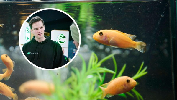 Zierfischbörse Braunschweig: Warum Aquaristik plötzlich Influencer anzieht