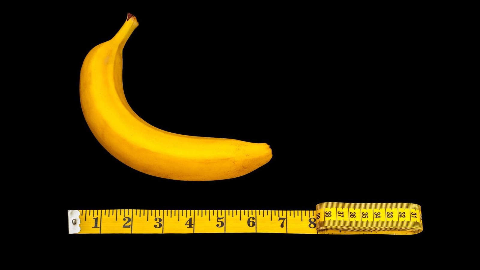 Neue-Studie-Deshalb-haben-Menschen-gr-ere-Penisse-als-Gorillas