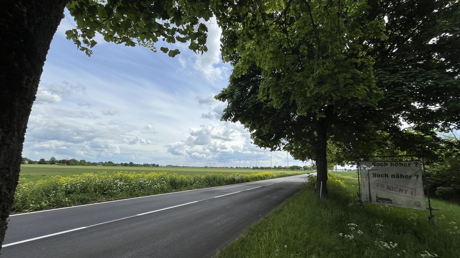 Bekommt-Bergedorf-eine-neue-Allee-Wo-B-ume-gepflanzt-werden-sollen