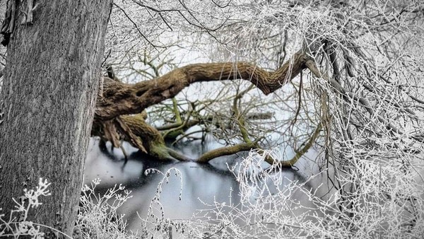 Wolfenbüttel warnt: Betreten von Eisflächen bleibt lebensgefährlich