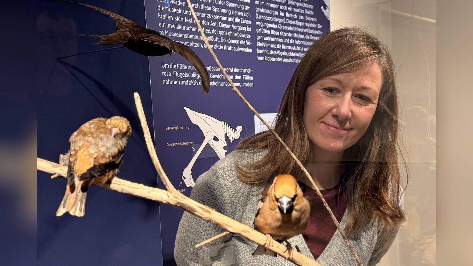 Was-ist-Sexualparasitismus-In-Gera-kann-man-tierischen-Kuriosit-ten-auf-den-Grund-gehen