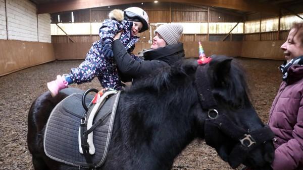 Neues Pferdezentrum in Wolfsburg: Wo schon Kleinkinder aufs Pony dürfen