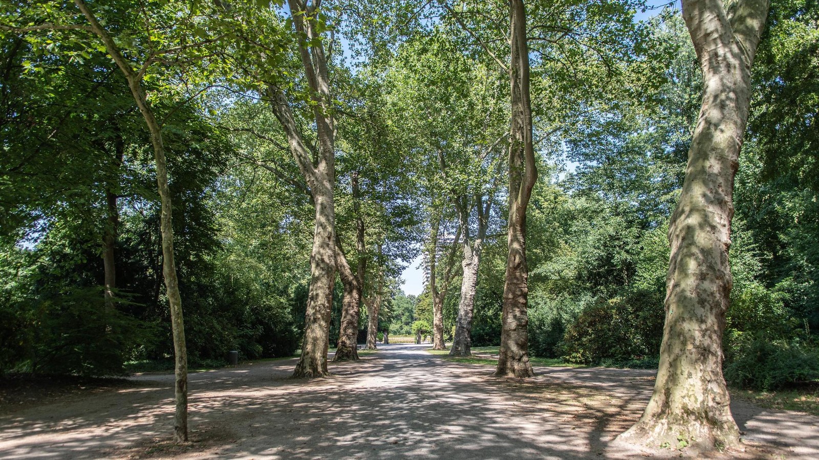 Mordkommission-Jugendliche-im-Stadtgarten-Gelsenkirchen-niedergestochen