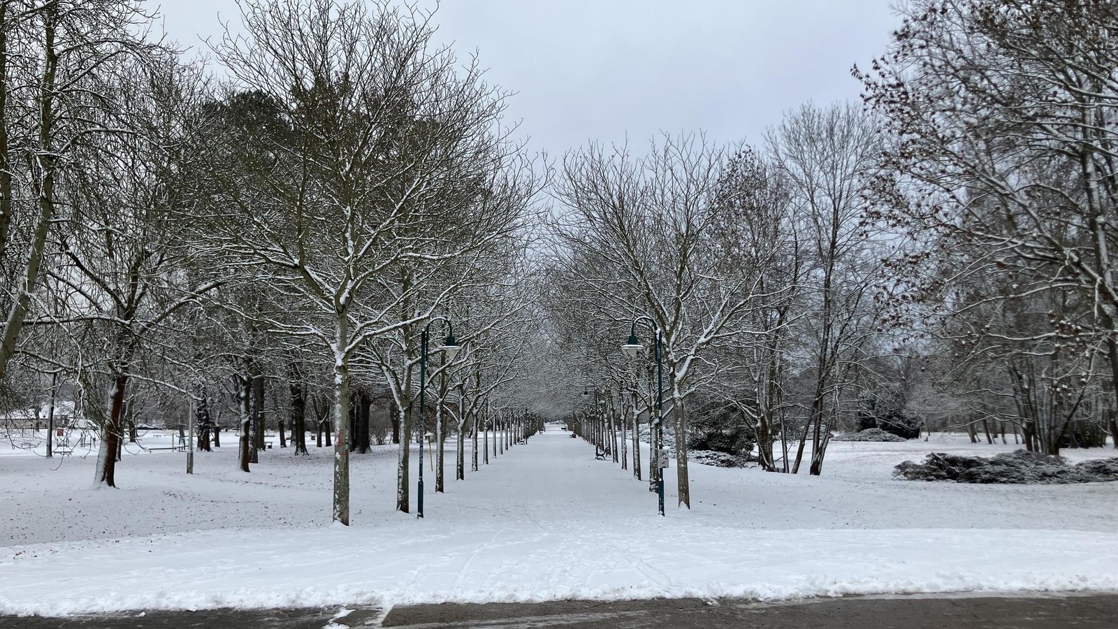 Hass-auf-die-Natur-Debatte-in-Rudolstadt-neu-entfacht