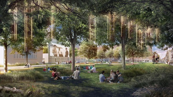 Natur statt Beton: Platz in Braunschweig soll zum grünen „Paradies“ werden