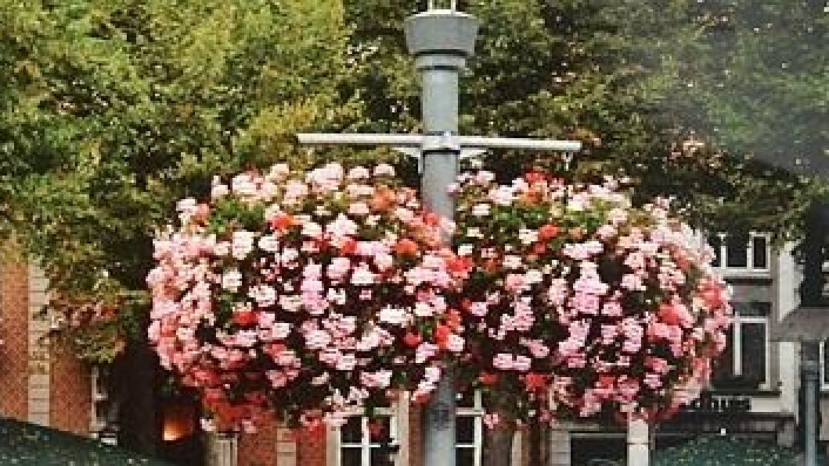 Der Rathausplatz wird grüner