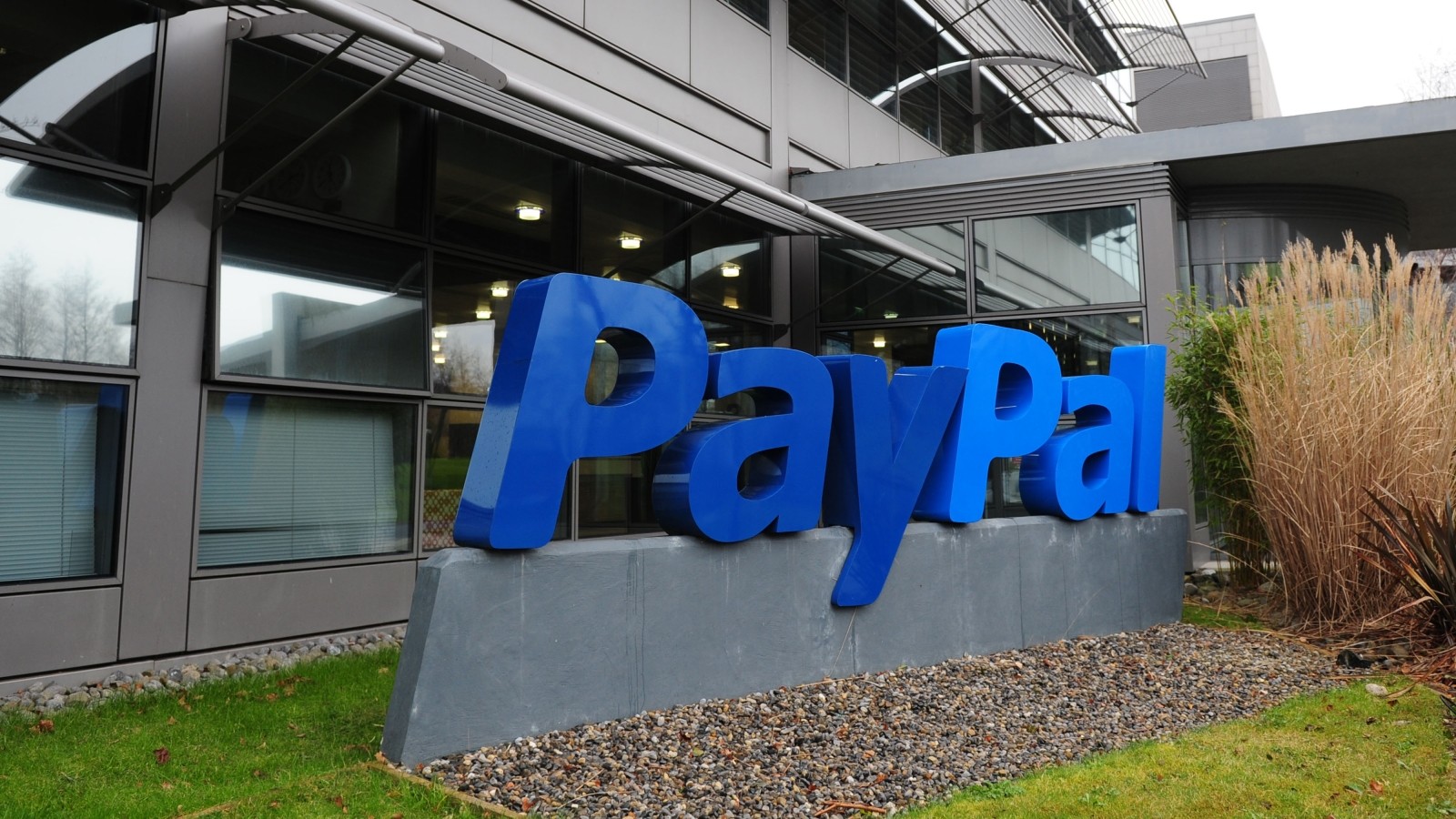 Paypal Panne Zeigt, Wie Riskant Online Zahlungen Wirklich Sein Können - nw0kw31