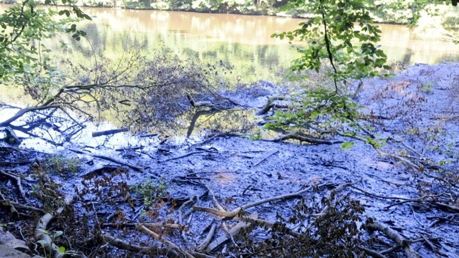 Hammerteich und die „Drei Teiche“ vermodern