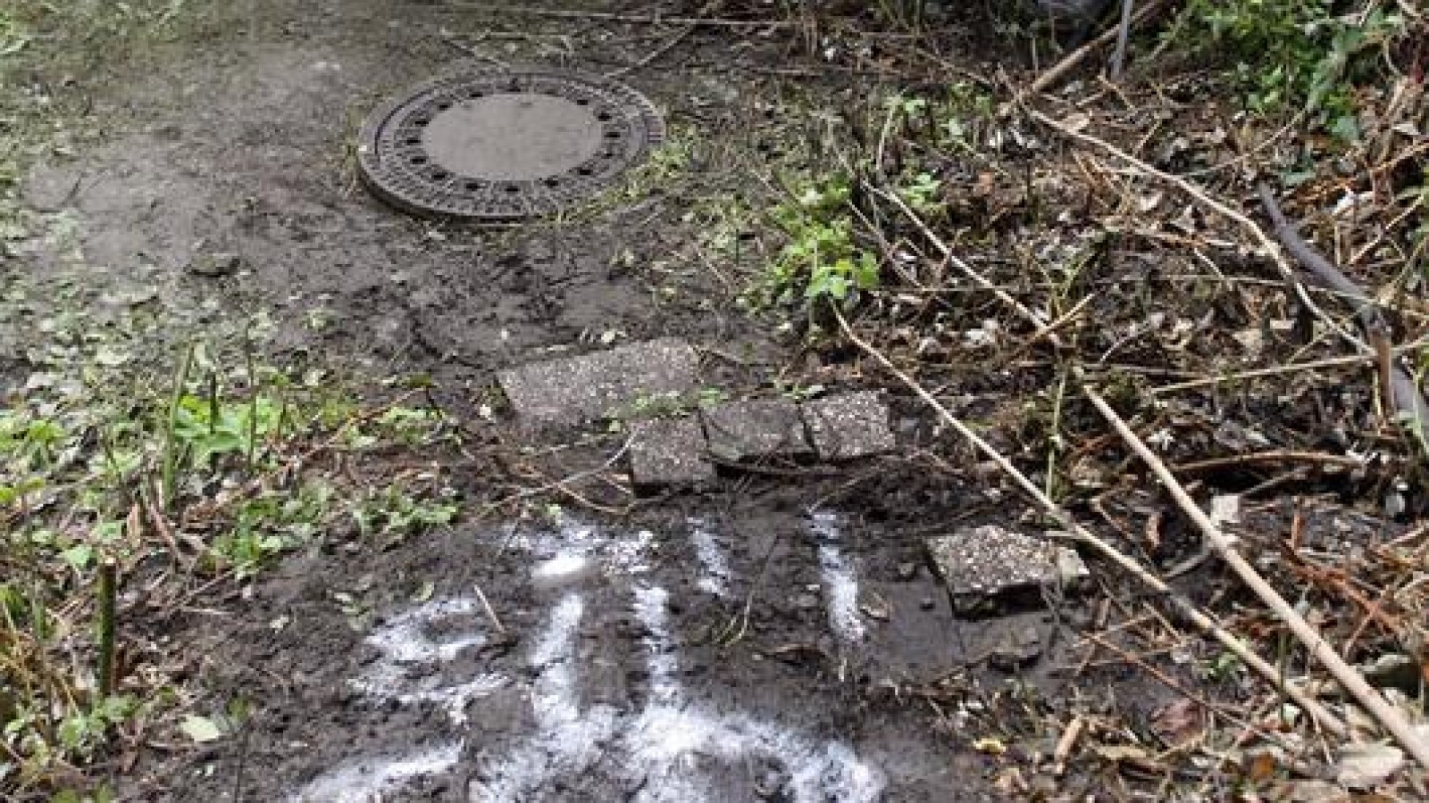 Tatverdächtiger im Fall Kassandra bleibt in Haft